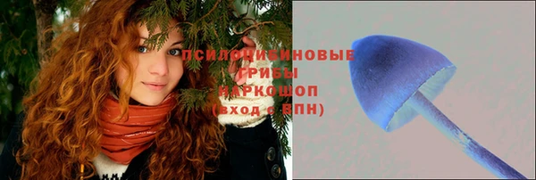 мяу мяу мука Абдулино