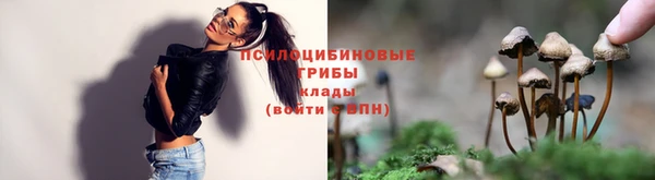 ешки Абинск